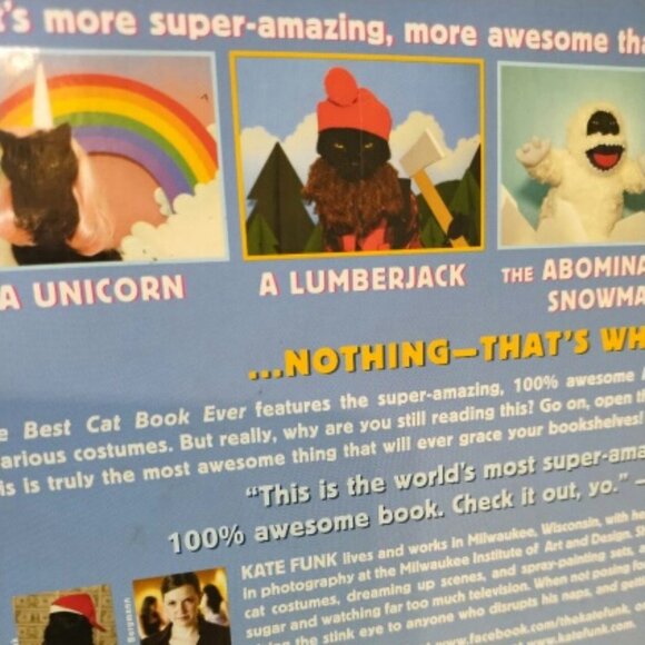 The Best Cat Book Ever - Kate Funk with AC the Cat - hardback - Picture 4 of 7